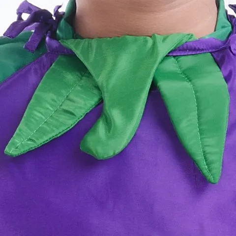 Brinjal dress for boys and Girls for Fancy dress competitions