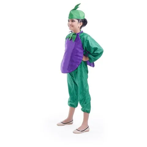 Brinjal dress for boys and Girls for Fancy dress competitions