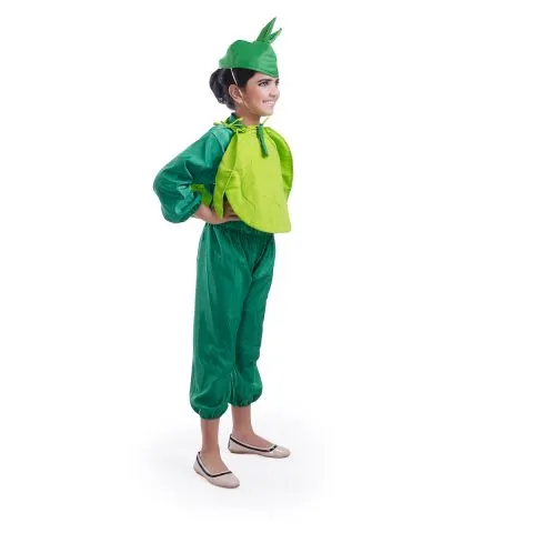 Cabbage Costume for boys and Girls for Fancy dress competitions